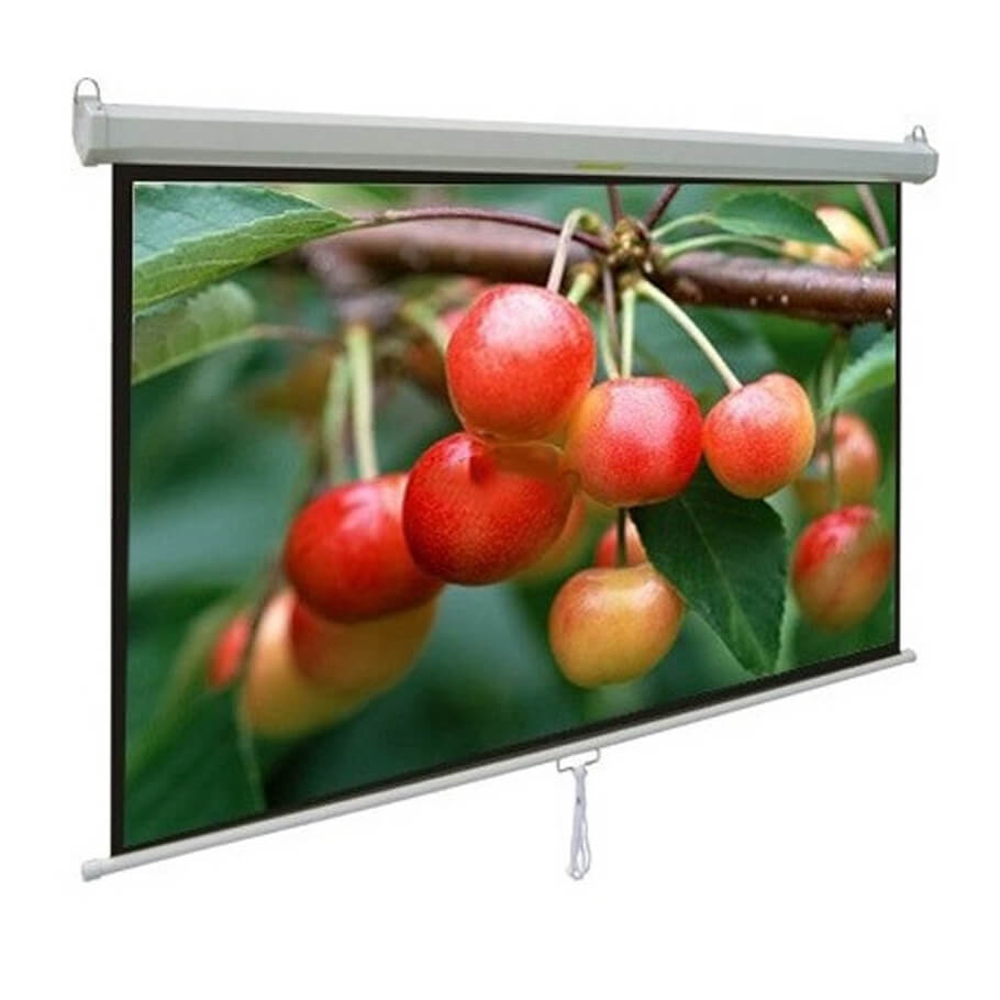 Màn chiếu treo tường 135-inch APOLLO MNS240